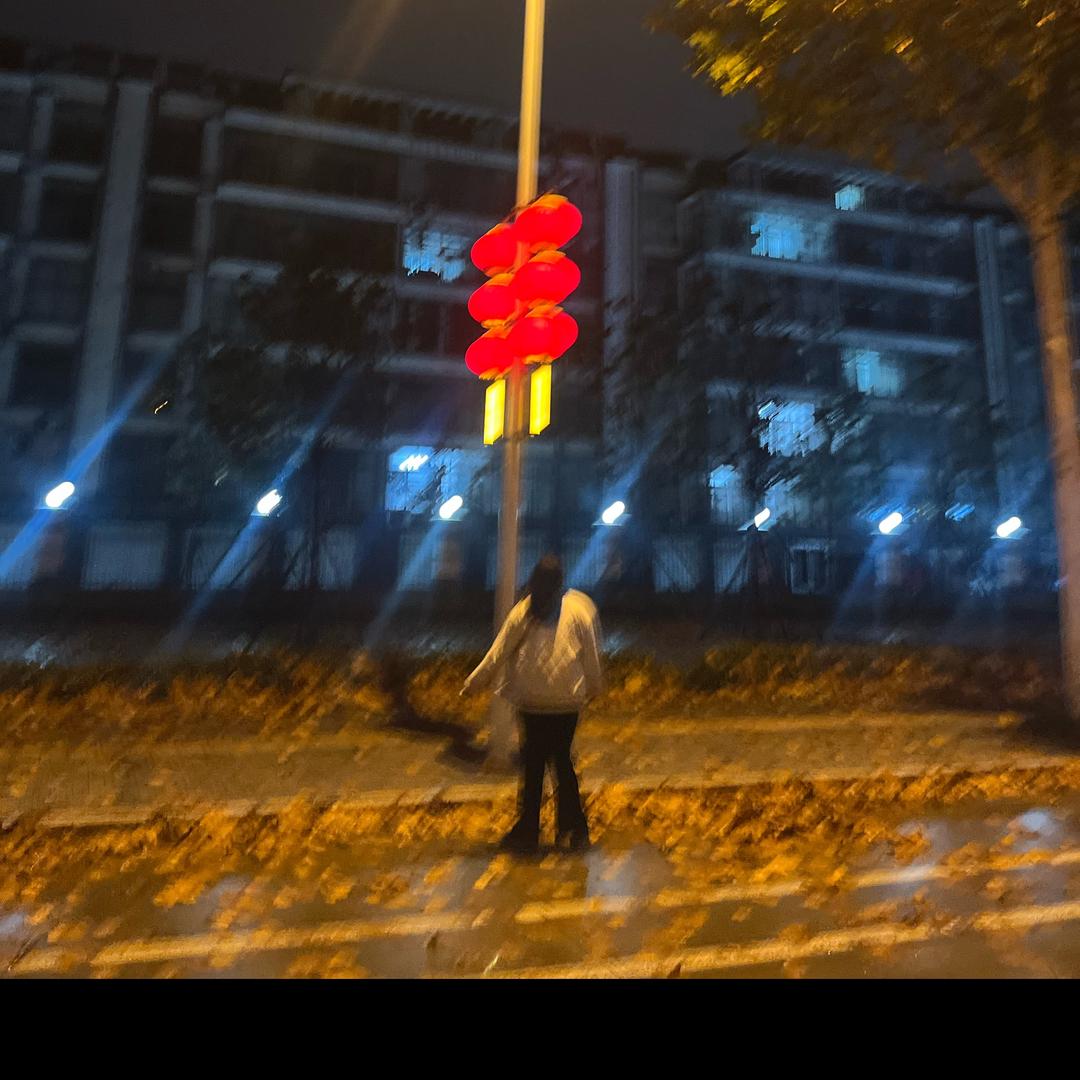 卤味鸭货