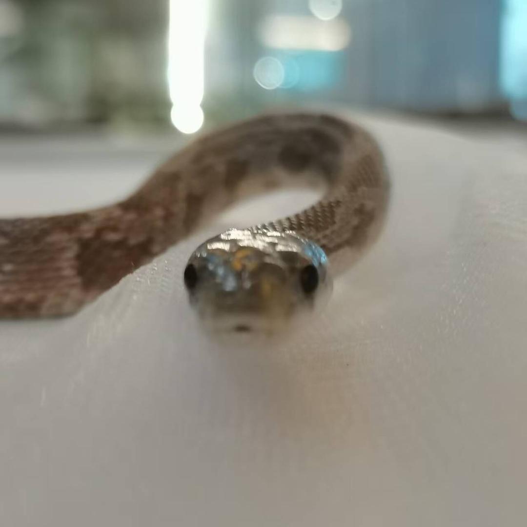 存在感💕 ⁰²⁹