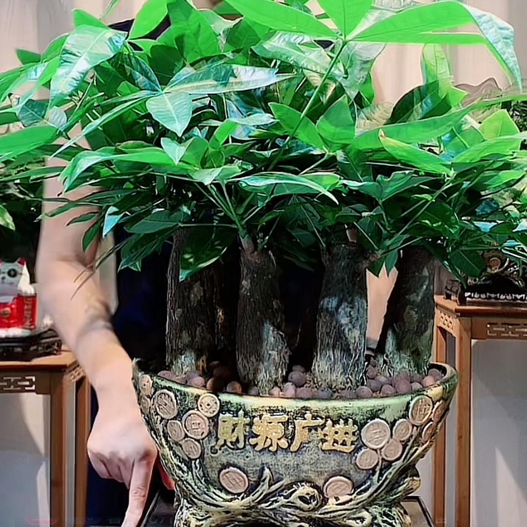 彤妈分享生活用品