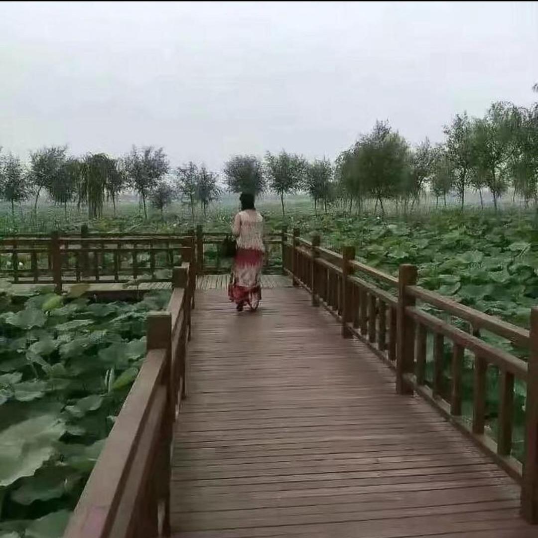 自然