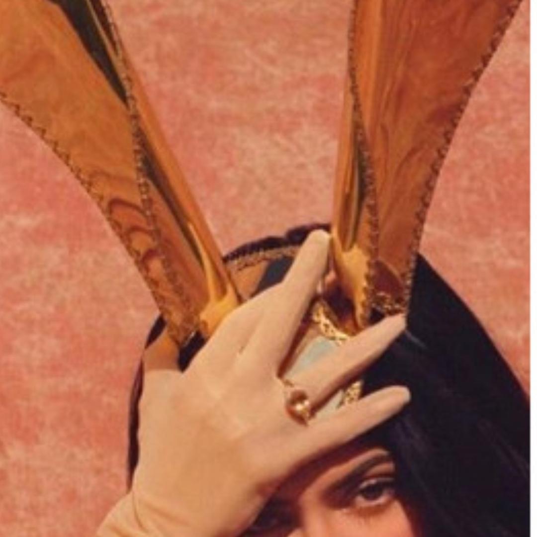 麟-（二十七星宿陆续出）