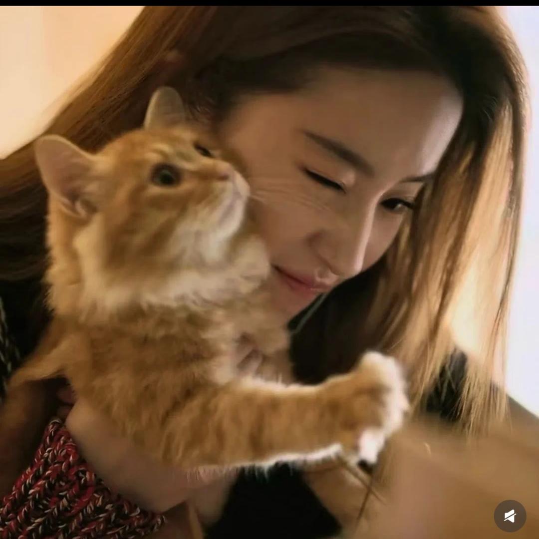 豆芽儿