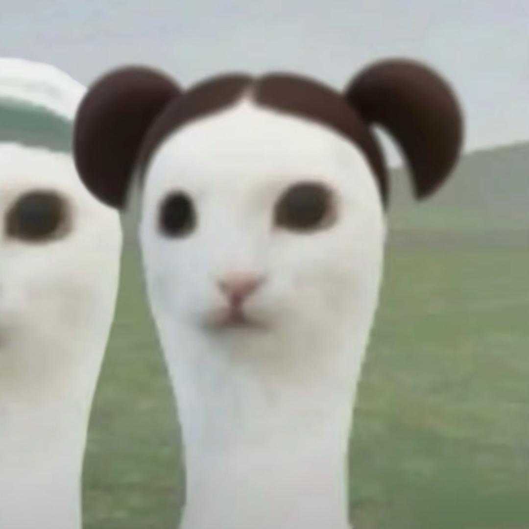 小Y大王66