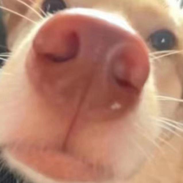 ·