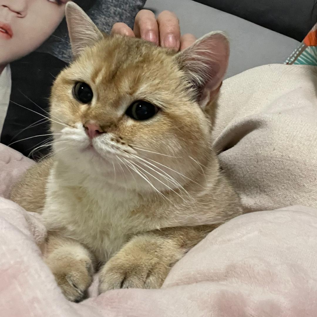 小米宝贝