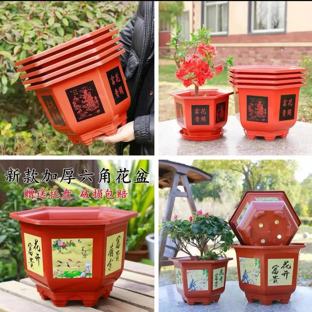 开运花盆