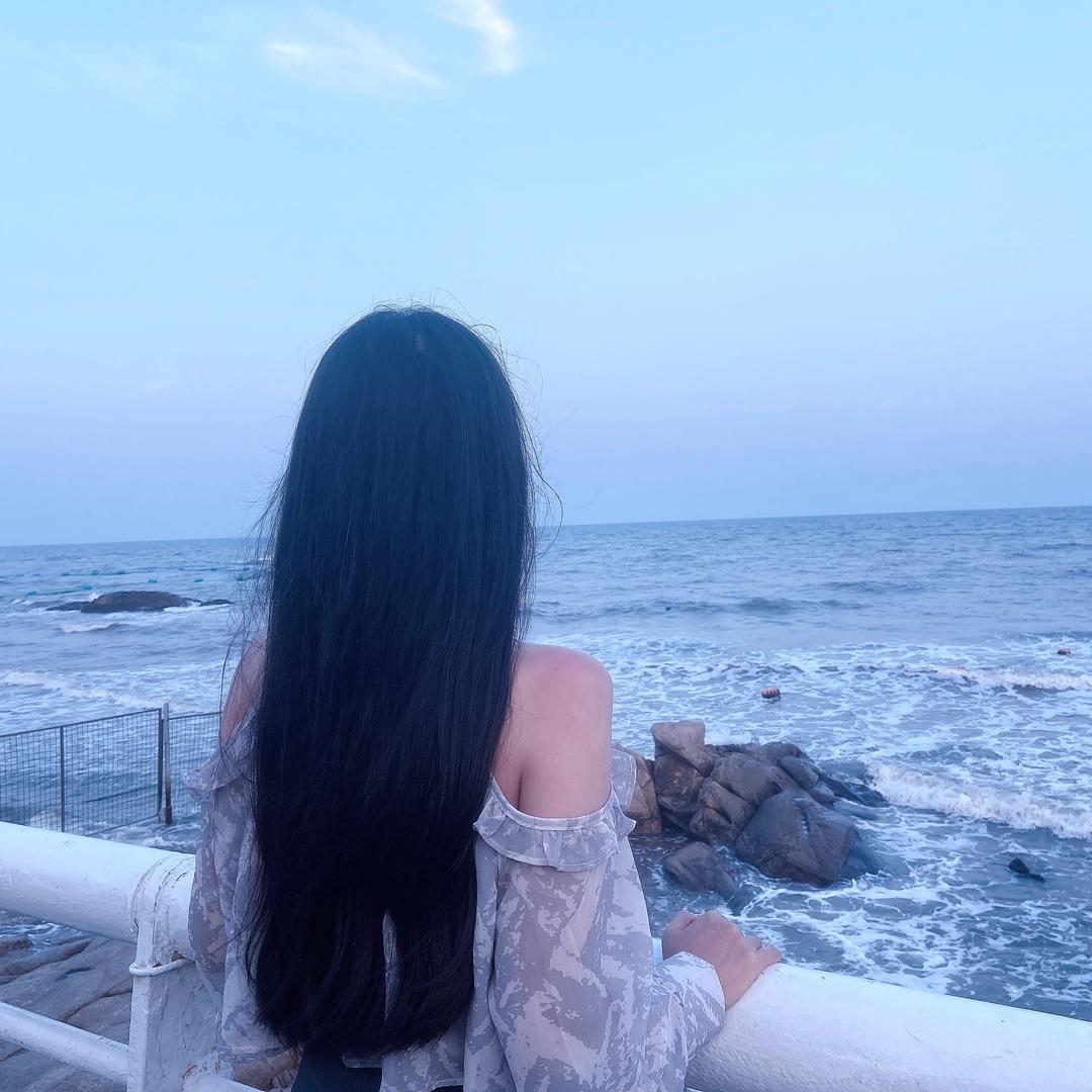 小鹿不乱撞