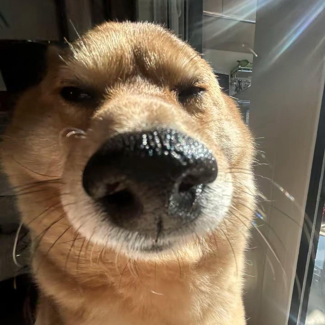 冷却器