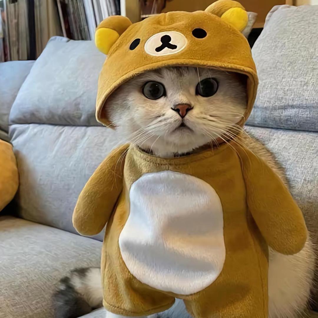 开心杂货铺