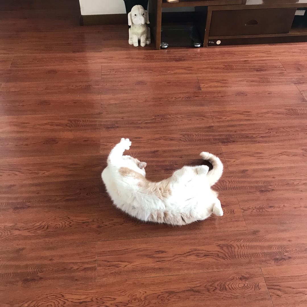 安逸
