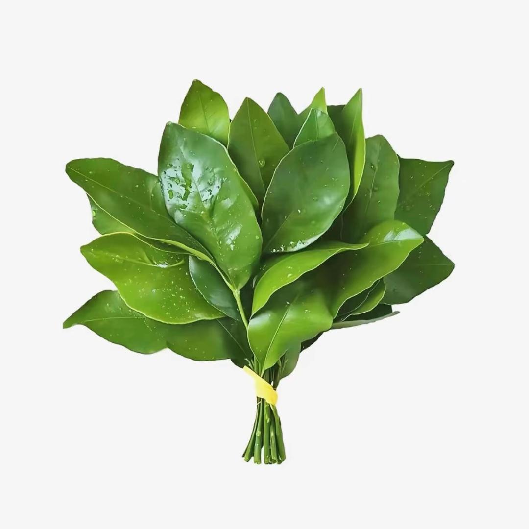 小拾