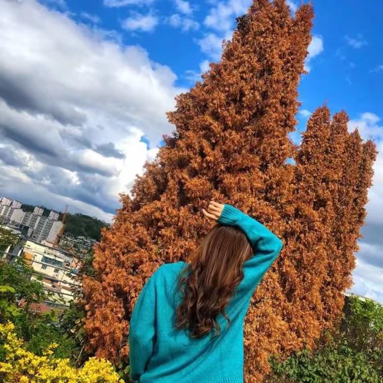 这里就是你最美不爱玩的人