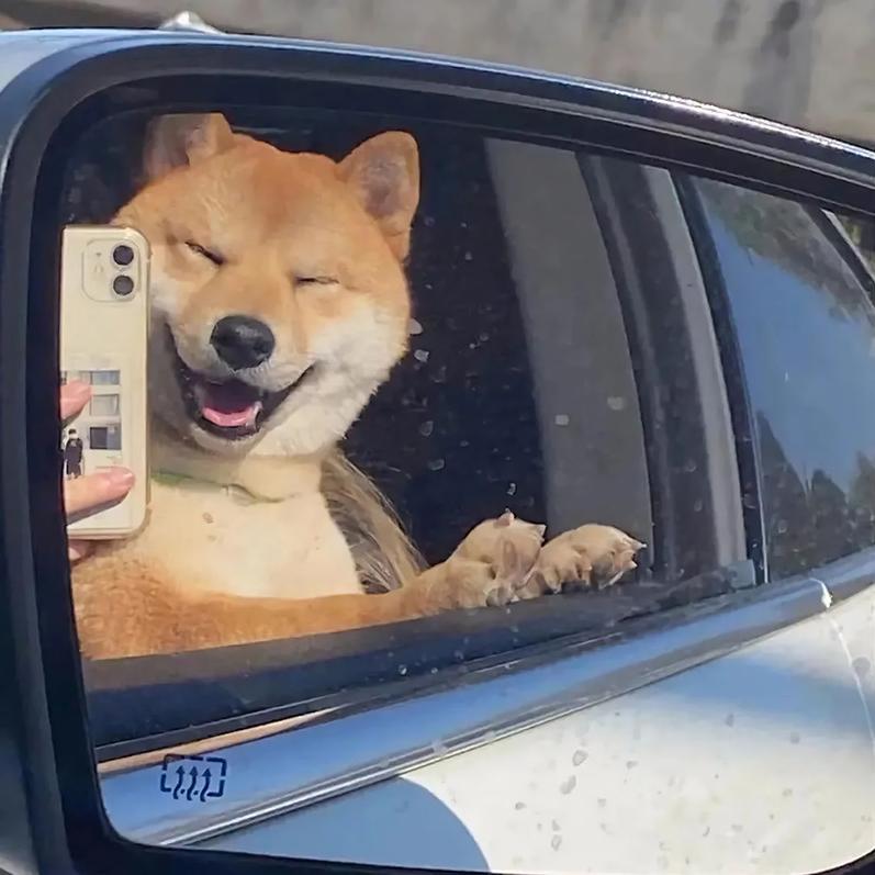 郑州梓晨二手车