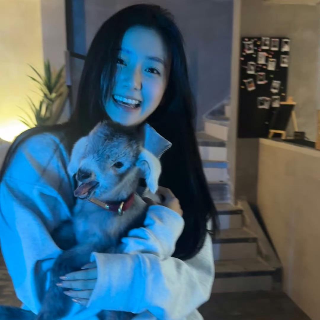 小王子的第四十四次日落🍯