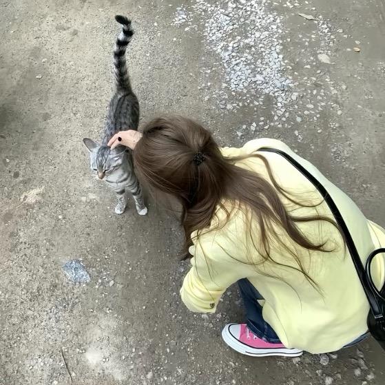 姜十二