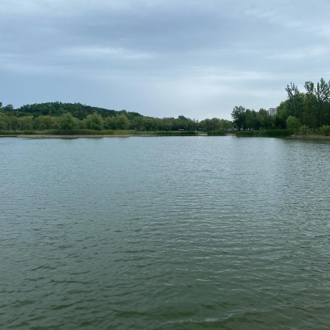 热爱文学的宋老师