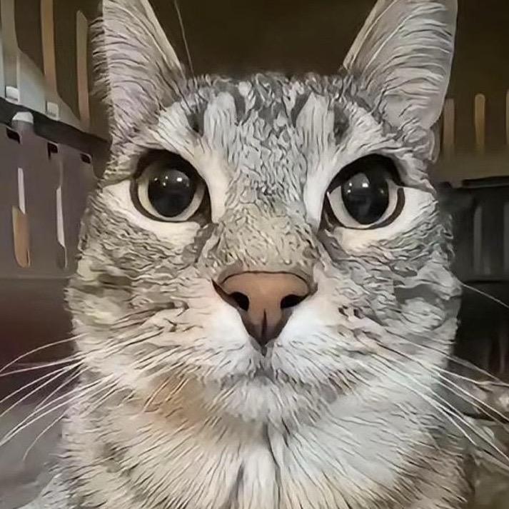 良好