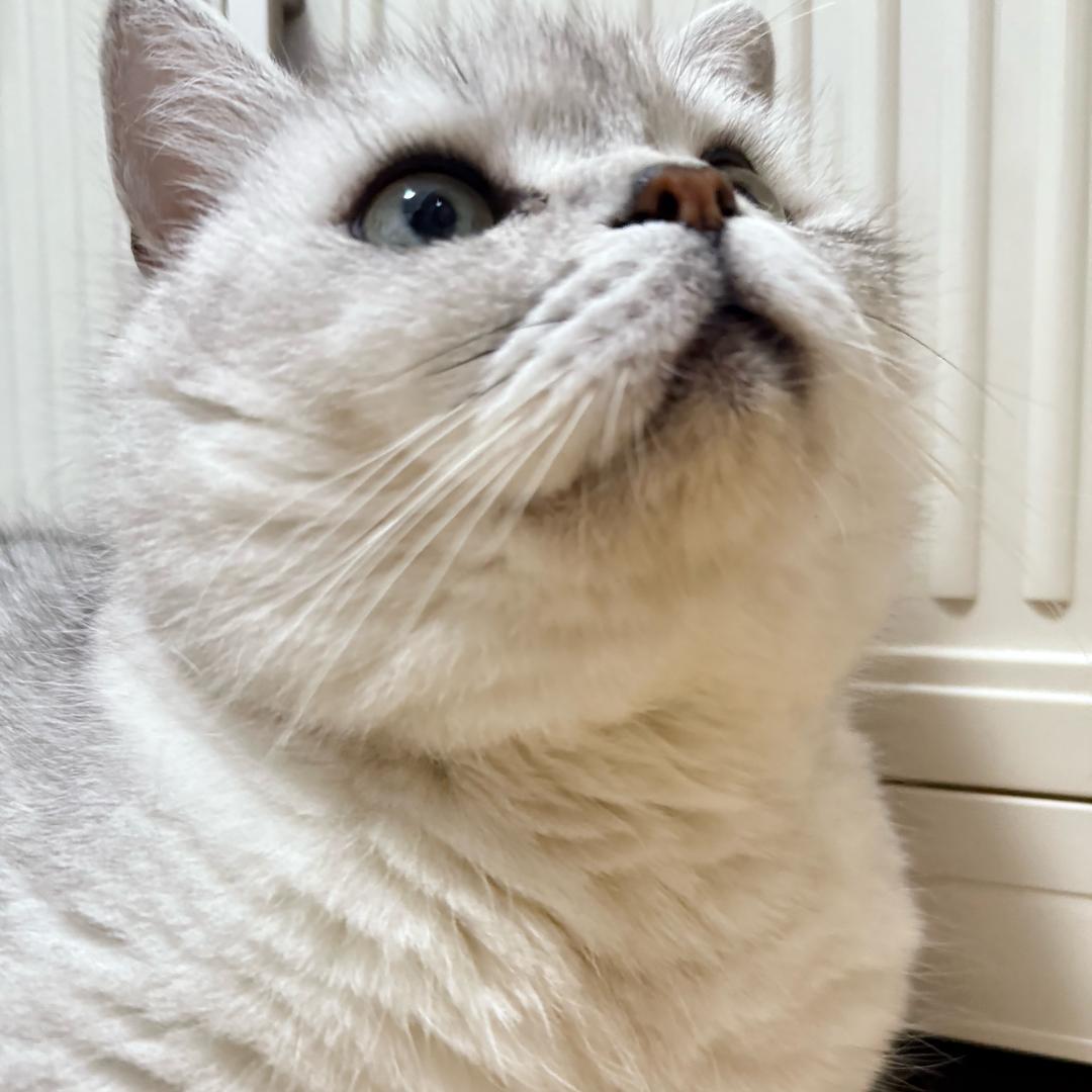 HARU