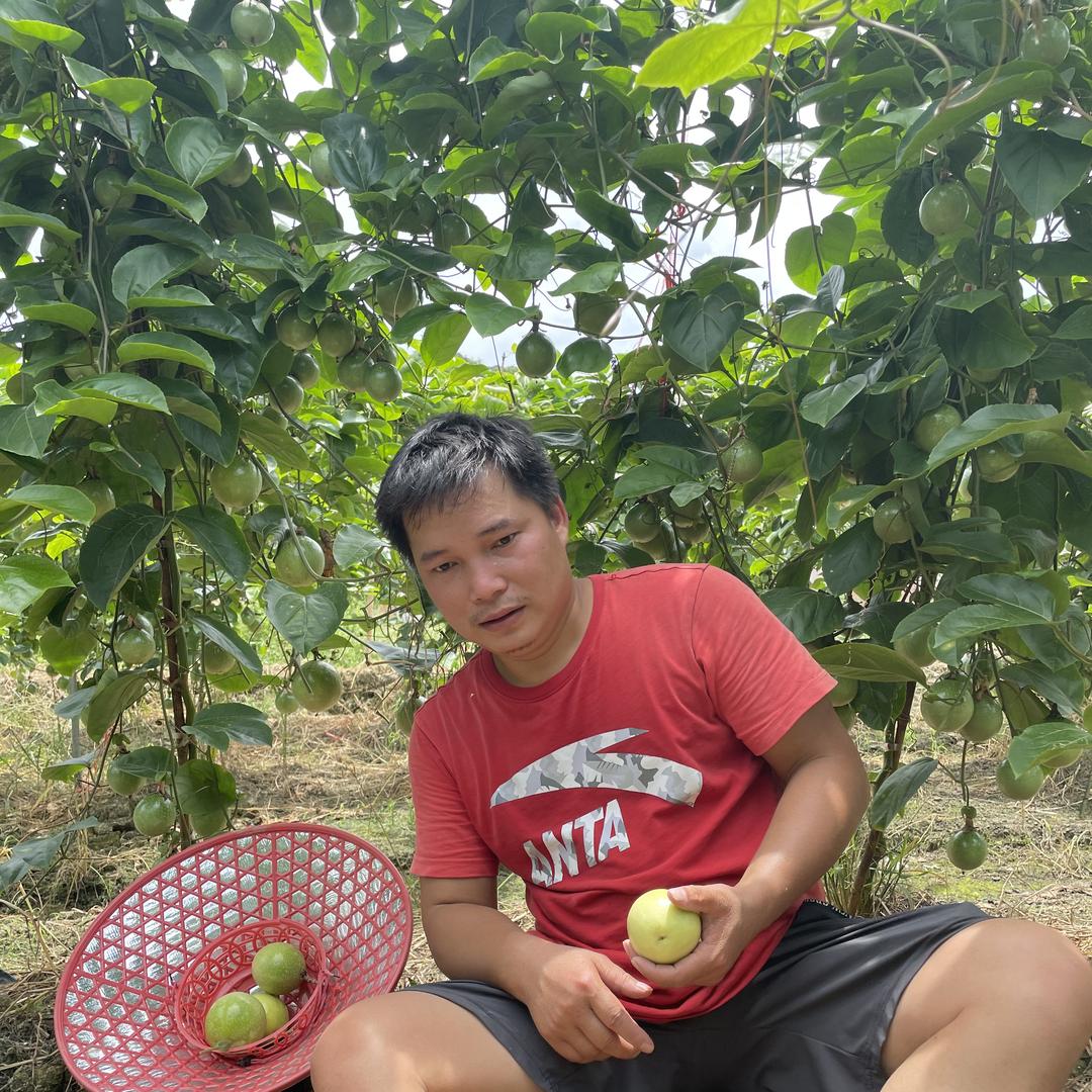 好可以农场