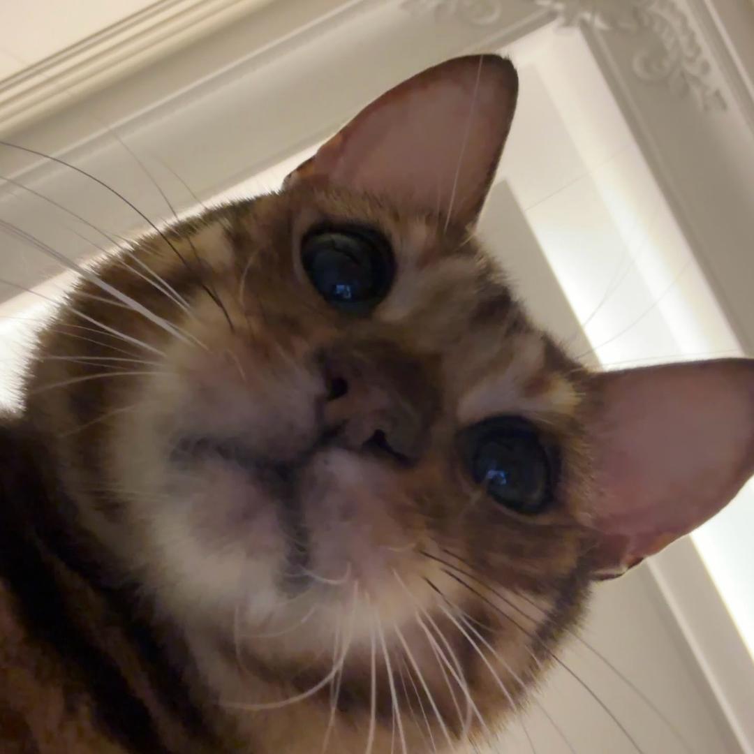 哦找个播播看看
