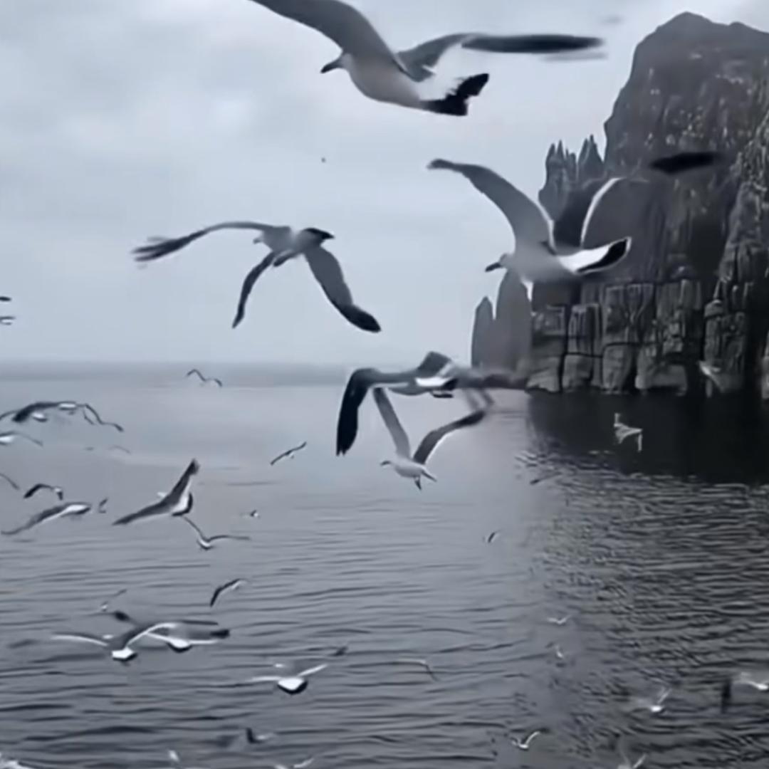 ·             别来沾边。