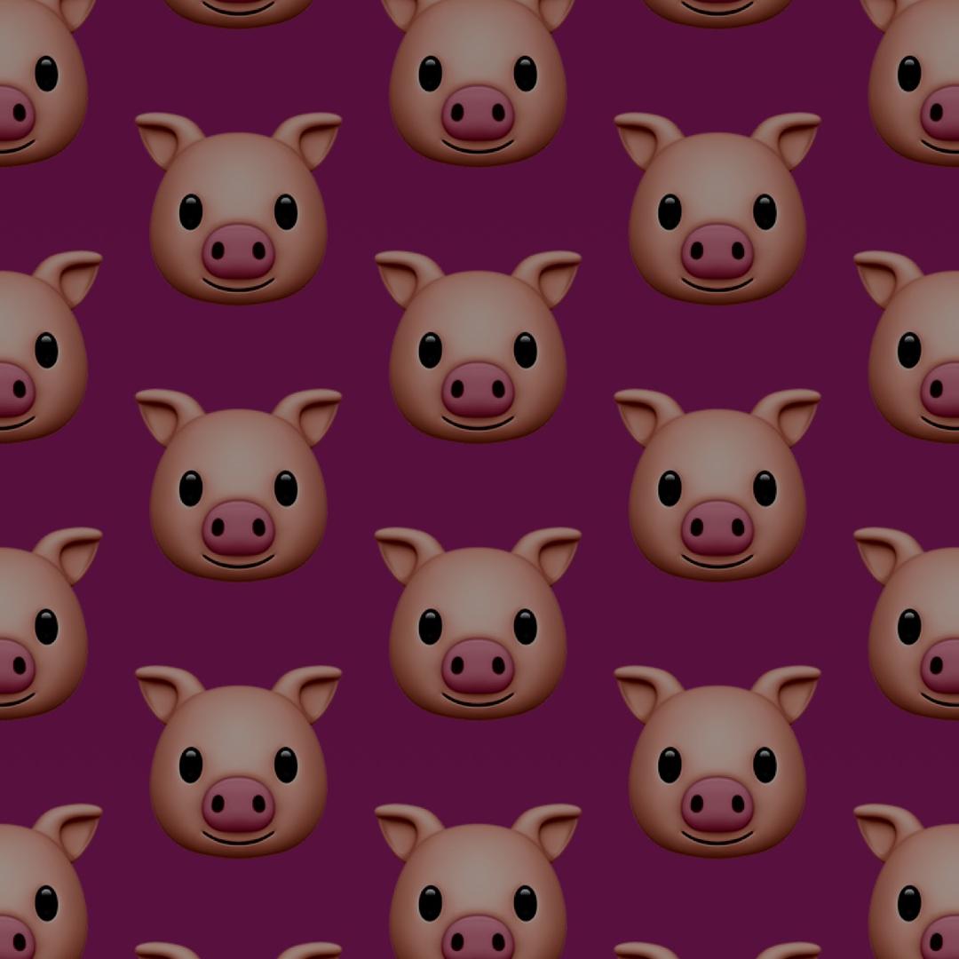 简单的生活、意外的