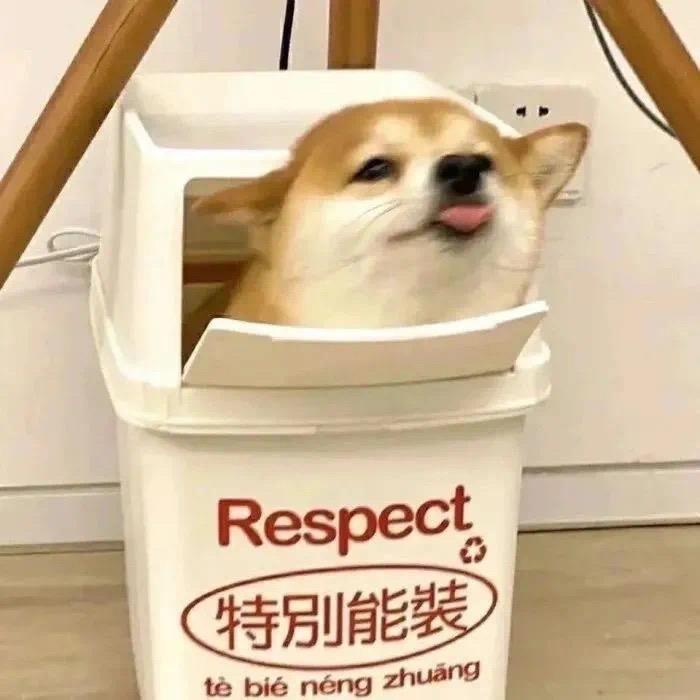 云朵桔子