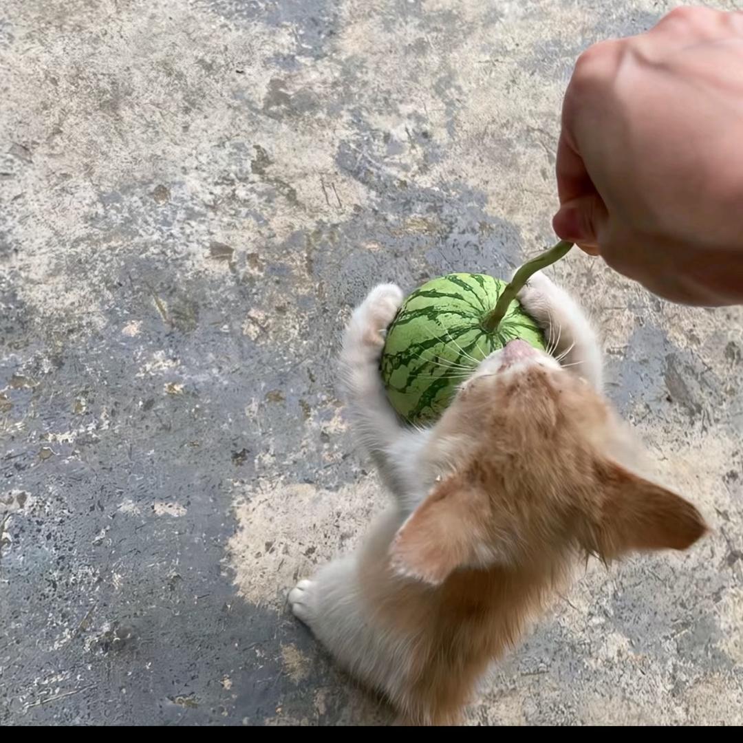 超人不会飞.