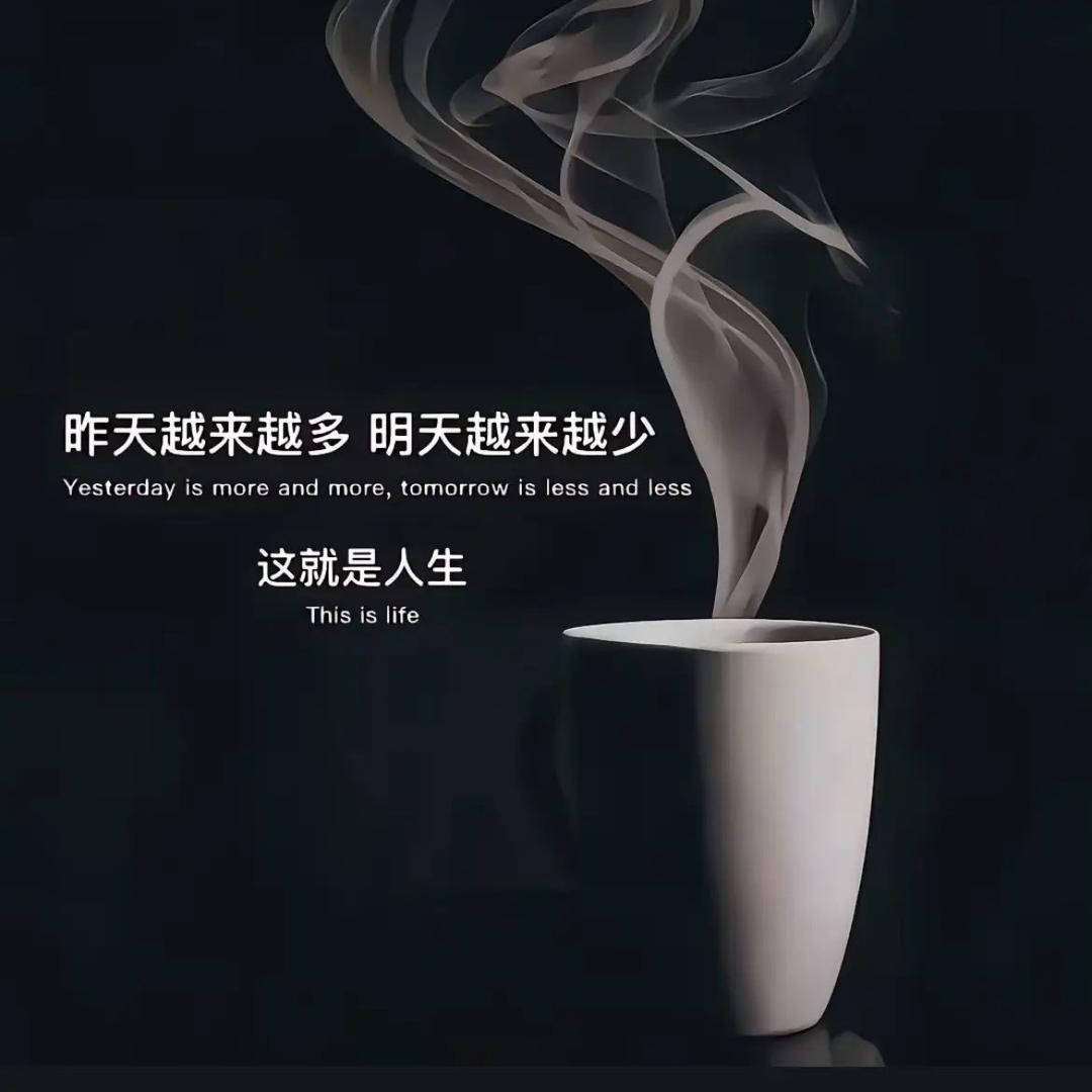Y头像