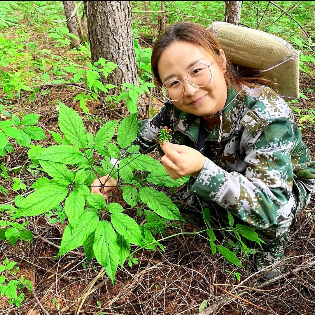 长白山桃生源健康严选