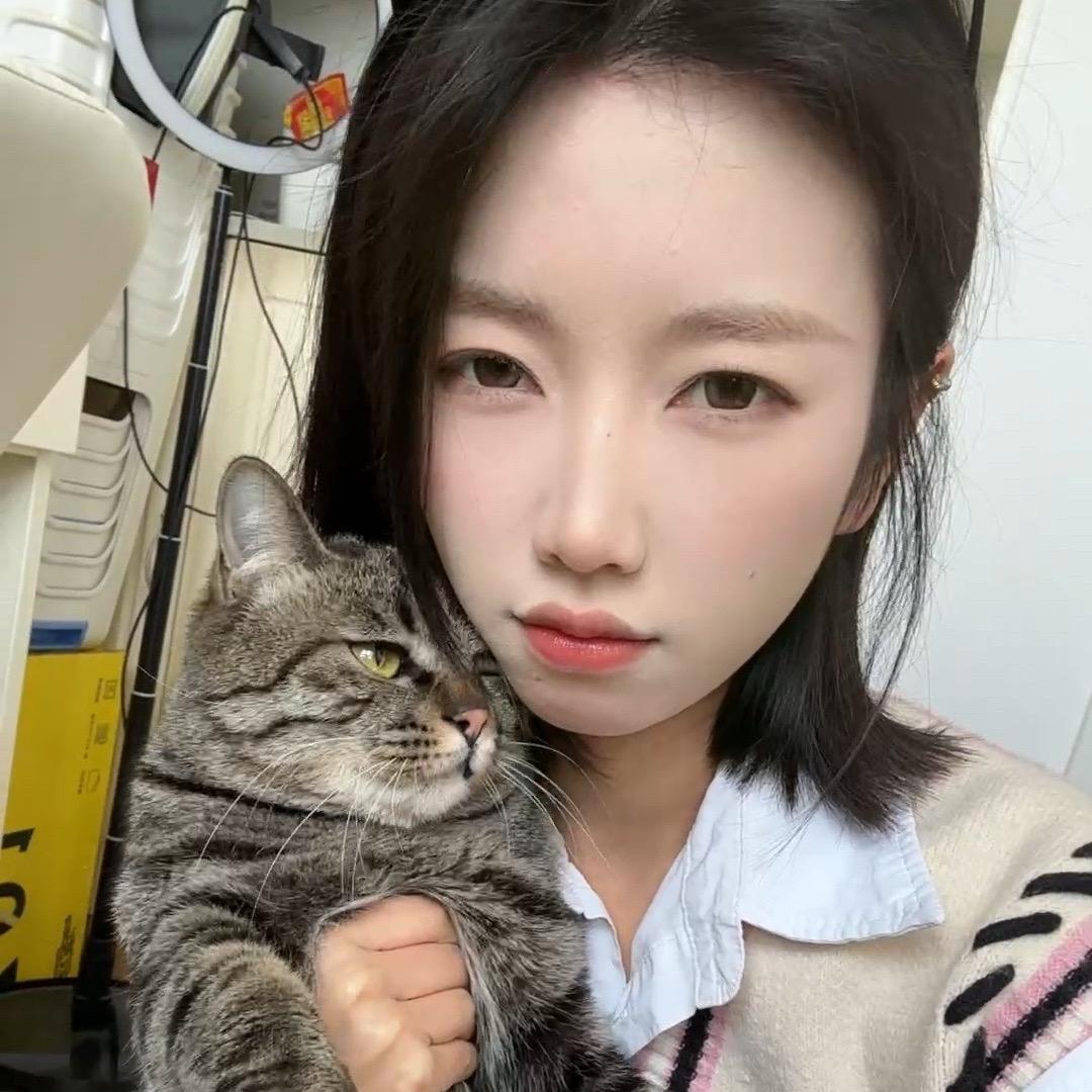 汀弟弟