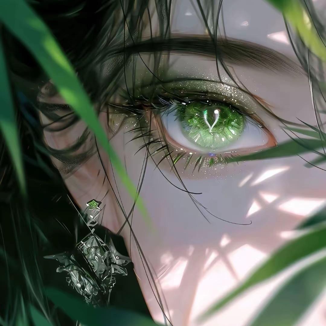 ⭐拾柒❤