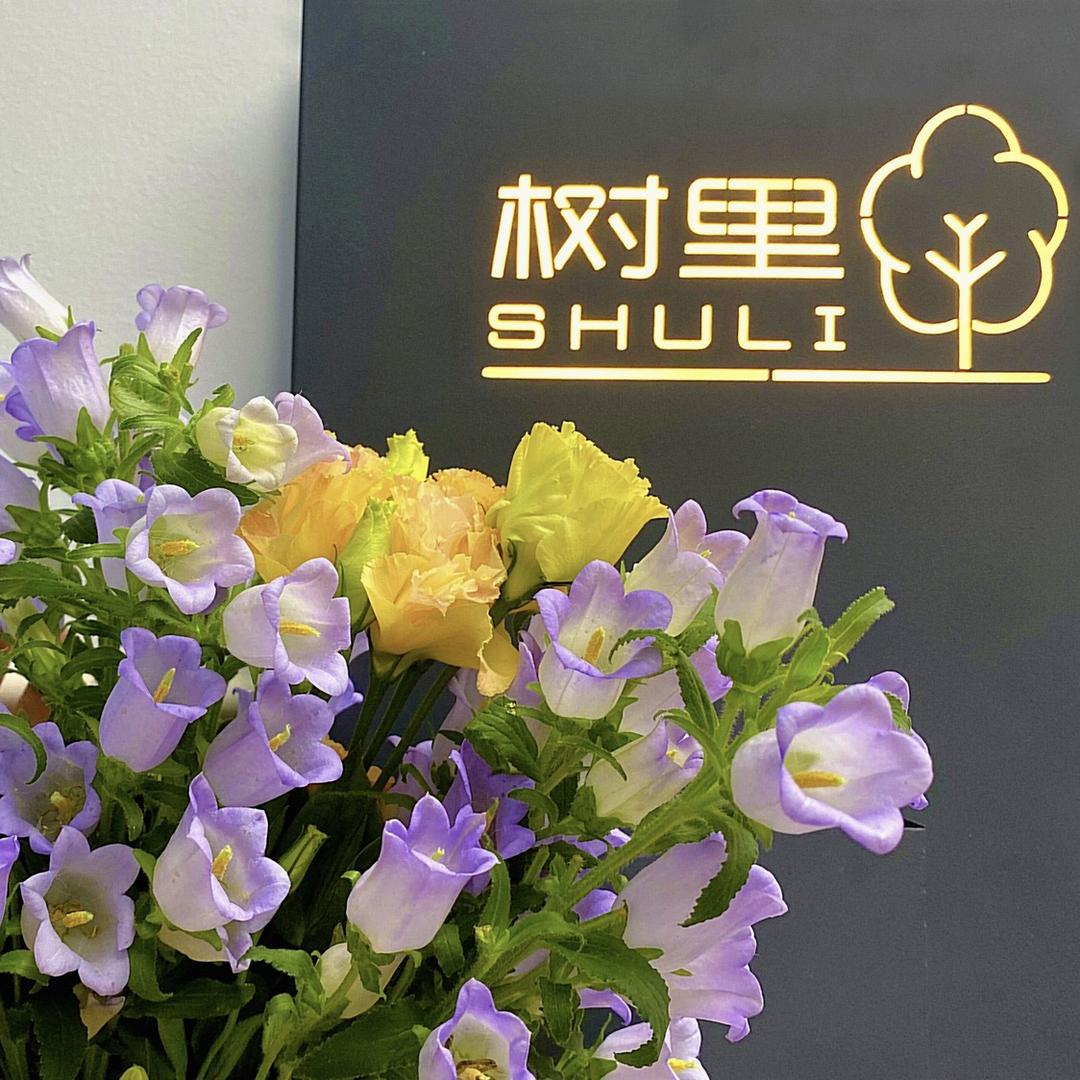 树里shuli