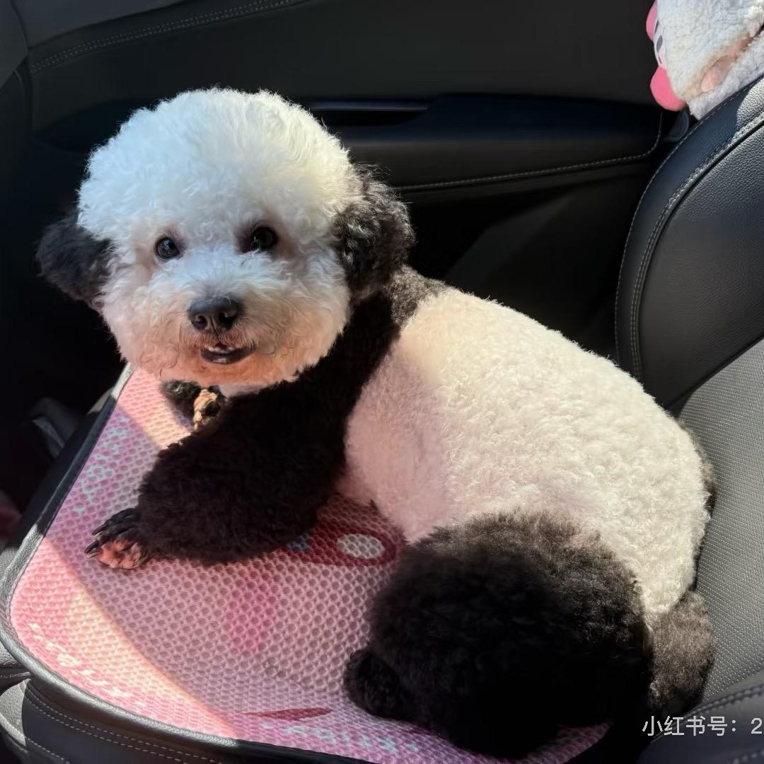 ♉️ 赵憨憨不憨 ♑️