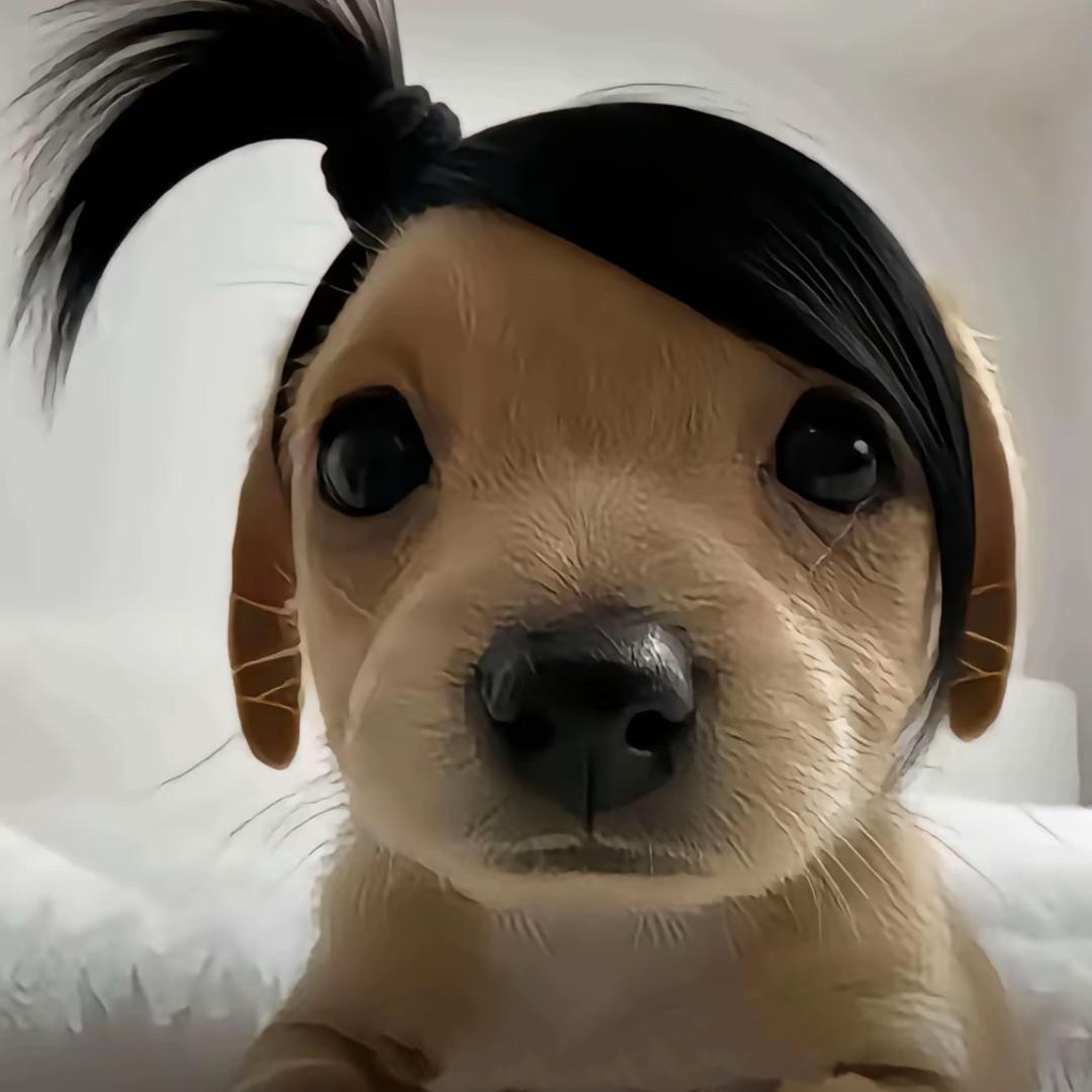 她们都叫我小马宝莉