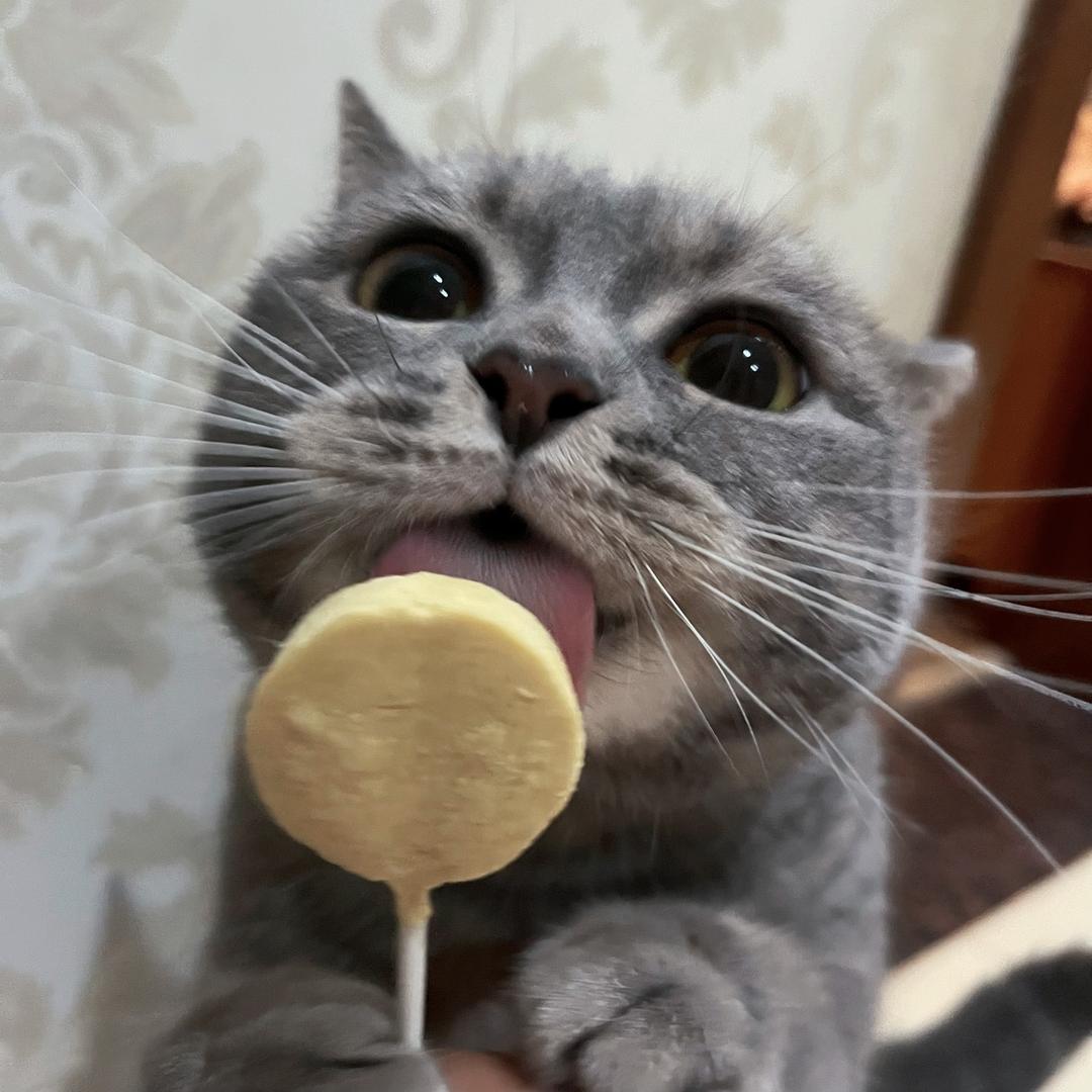 小羊•ᴥ•