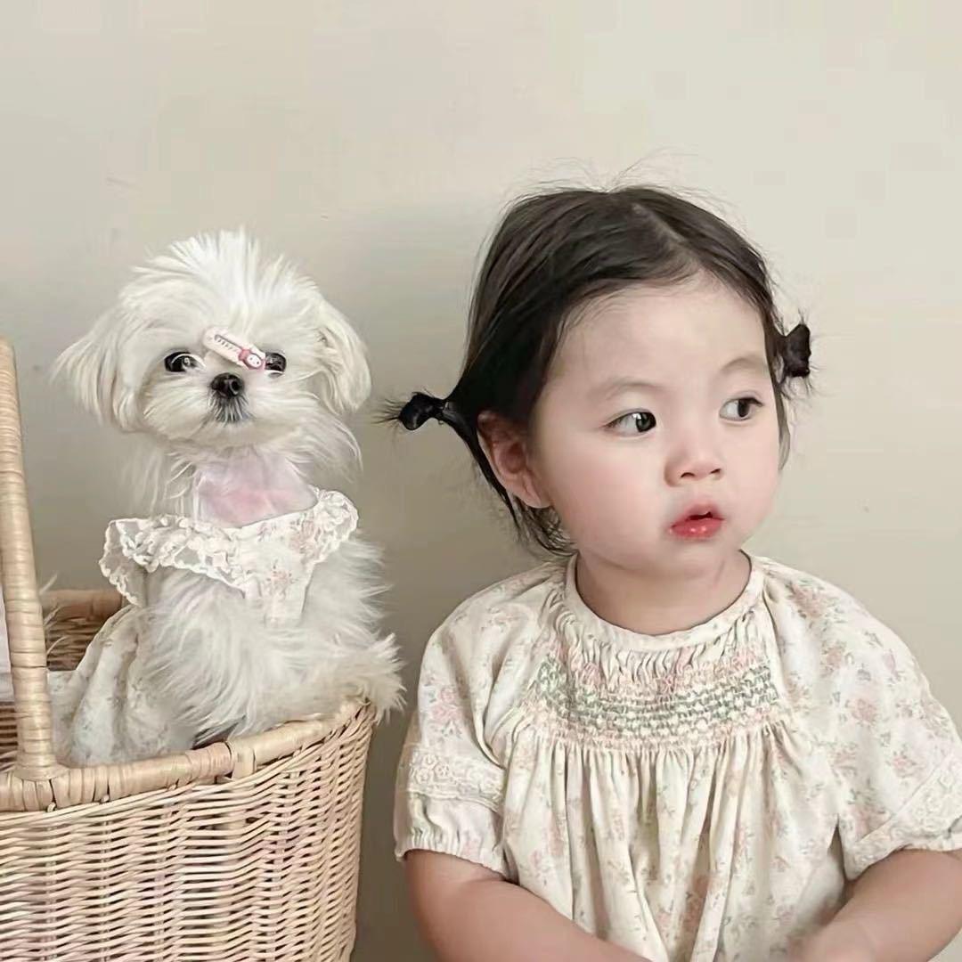 乖小猫🐱