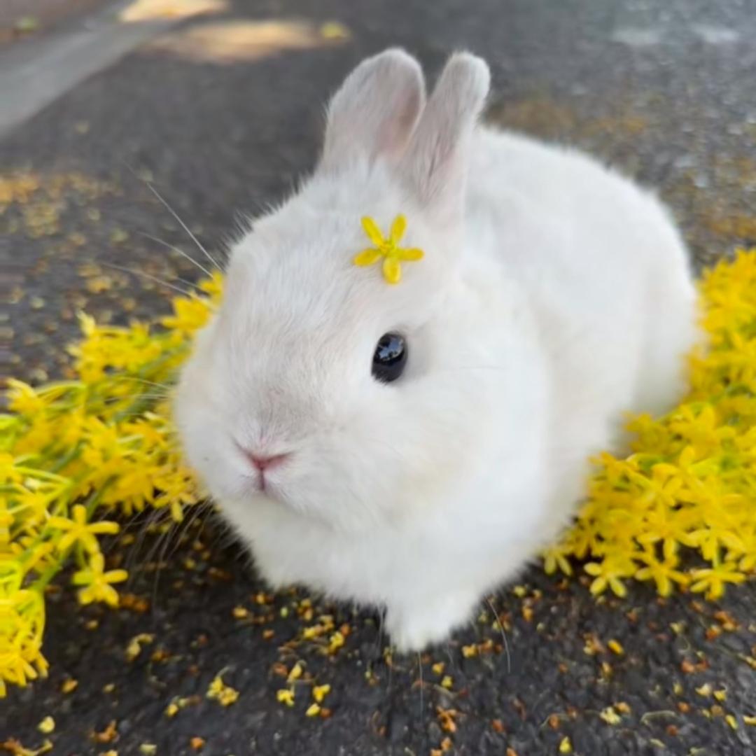 萱宝贝