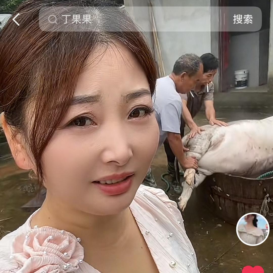 丁果果好物
