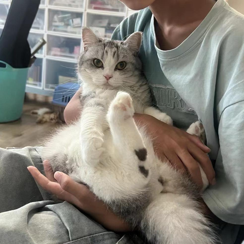 暖心的涟漪