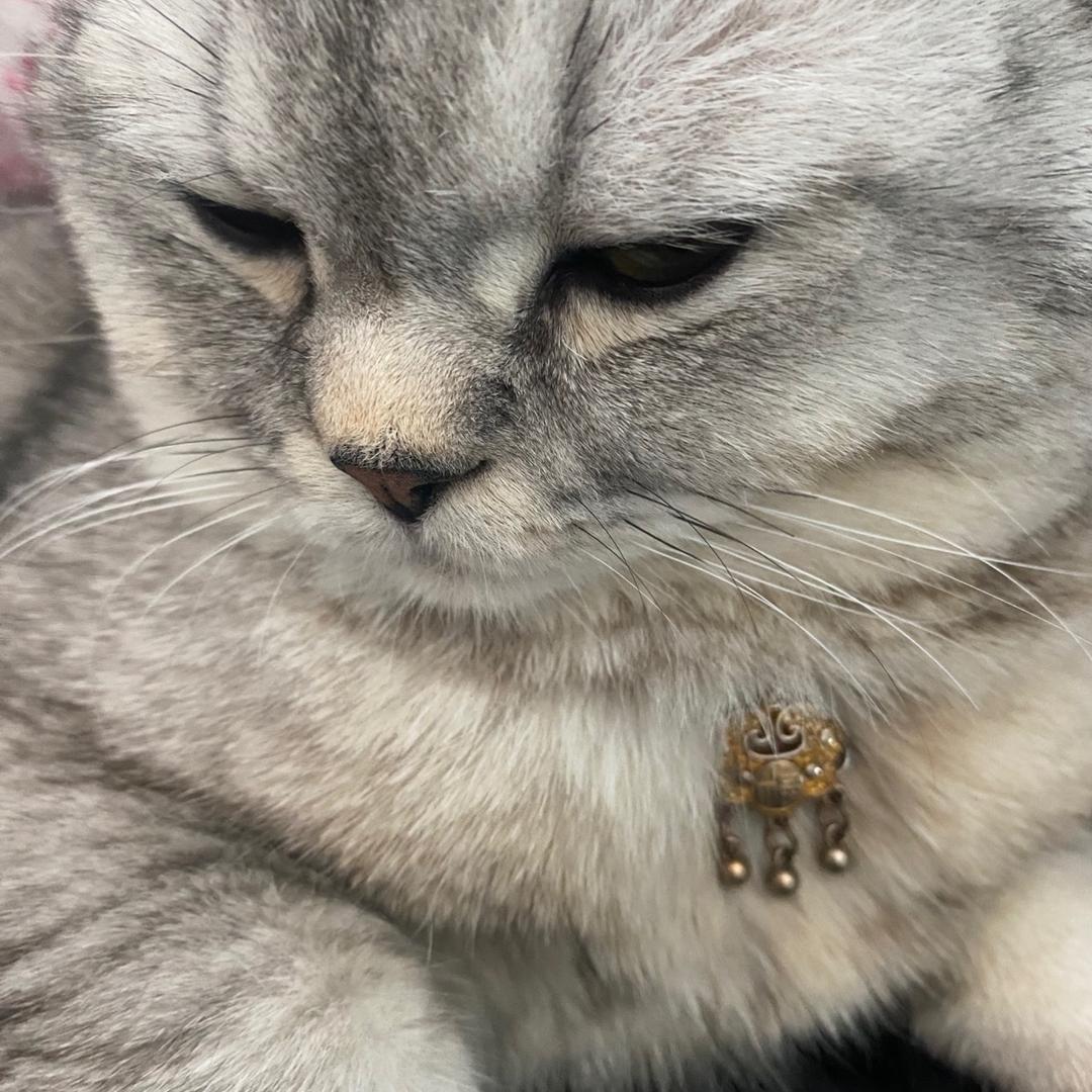 丽都装饰🎍…．．Ni: