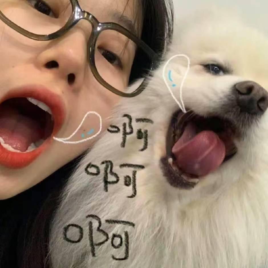 云小碗