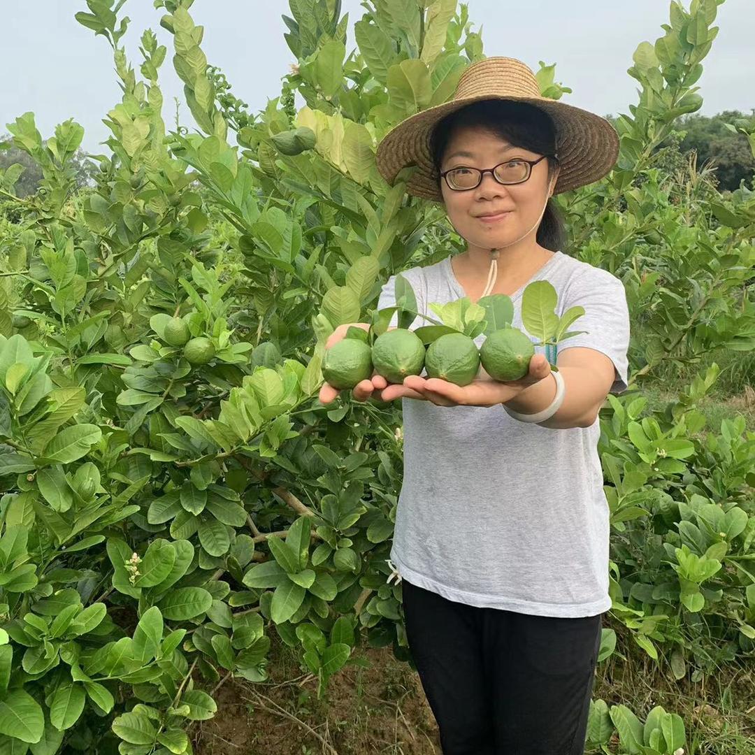 粤乡农人