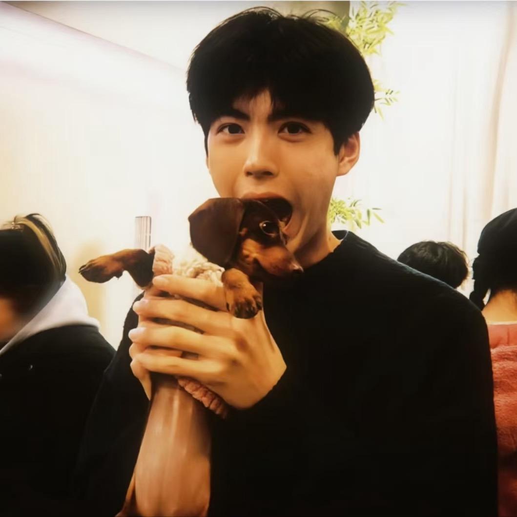 睡着了也困