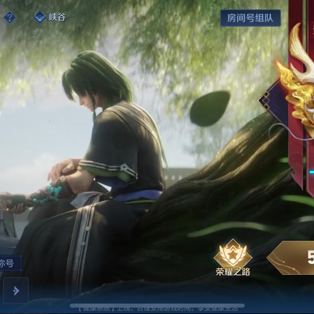 晨晨～（王者荣耀）