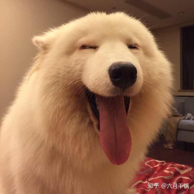 蔚蓝星球丶澐天河