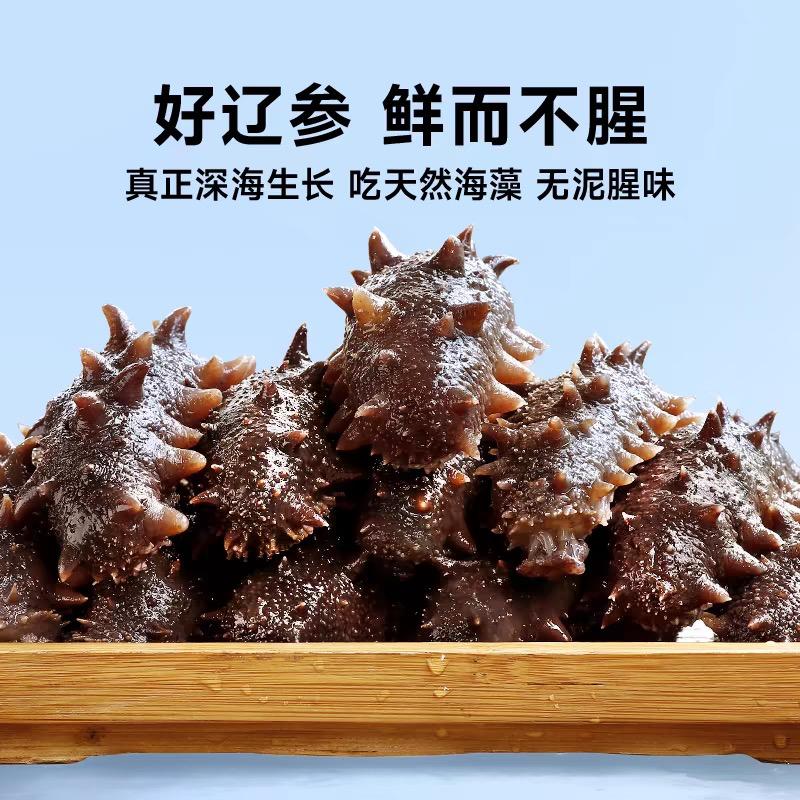 云宝海参