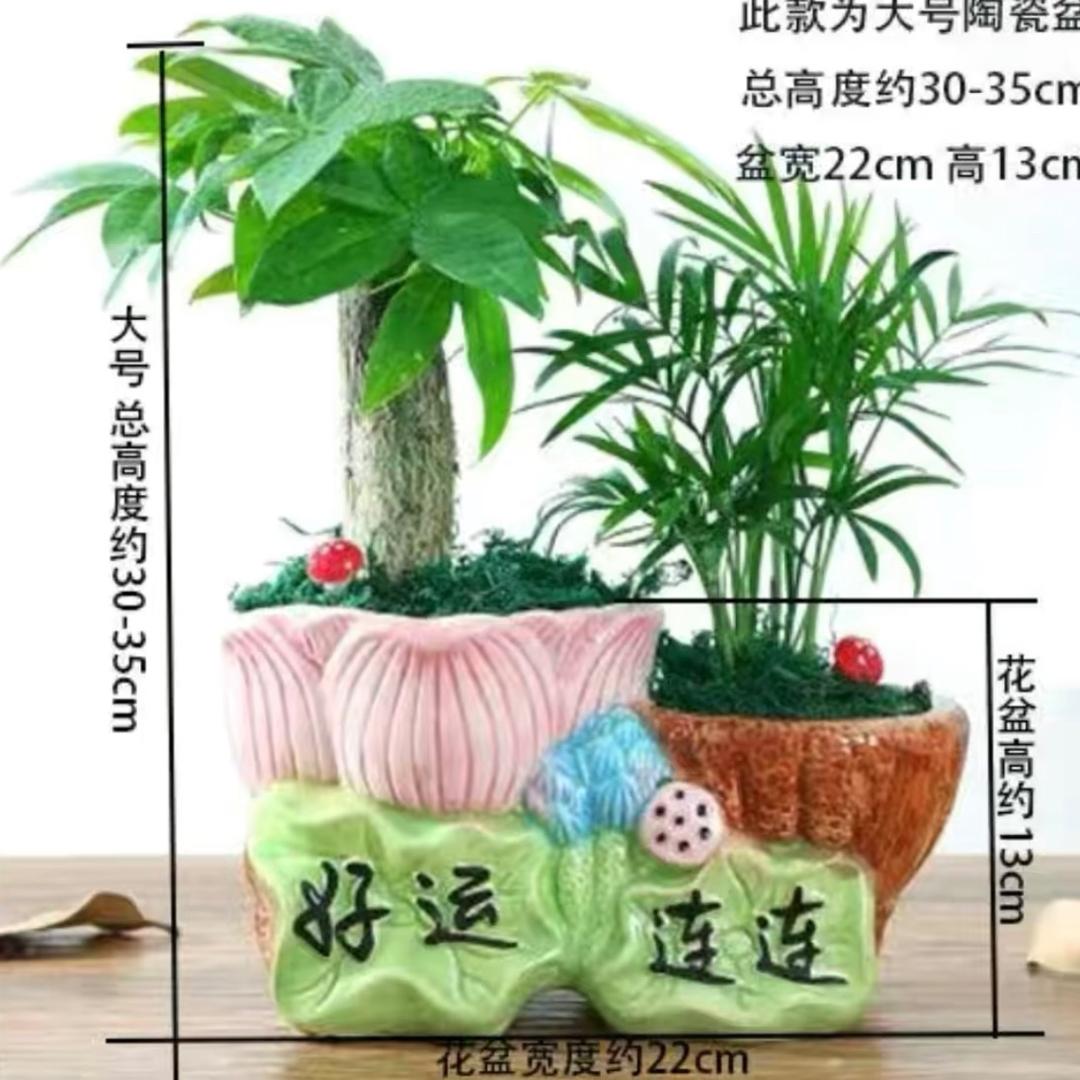 衣然优选