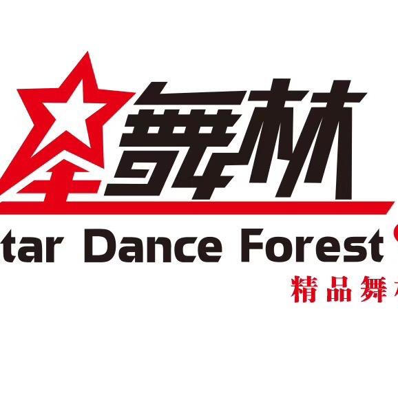 张家港市星舞林舞蹈