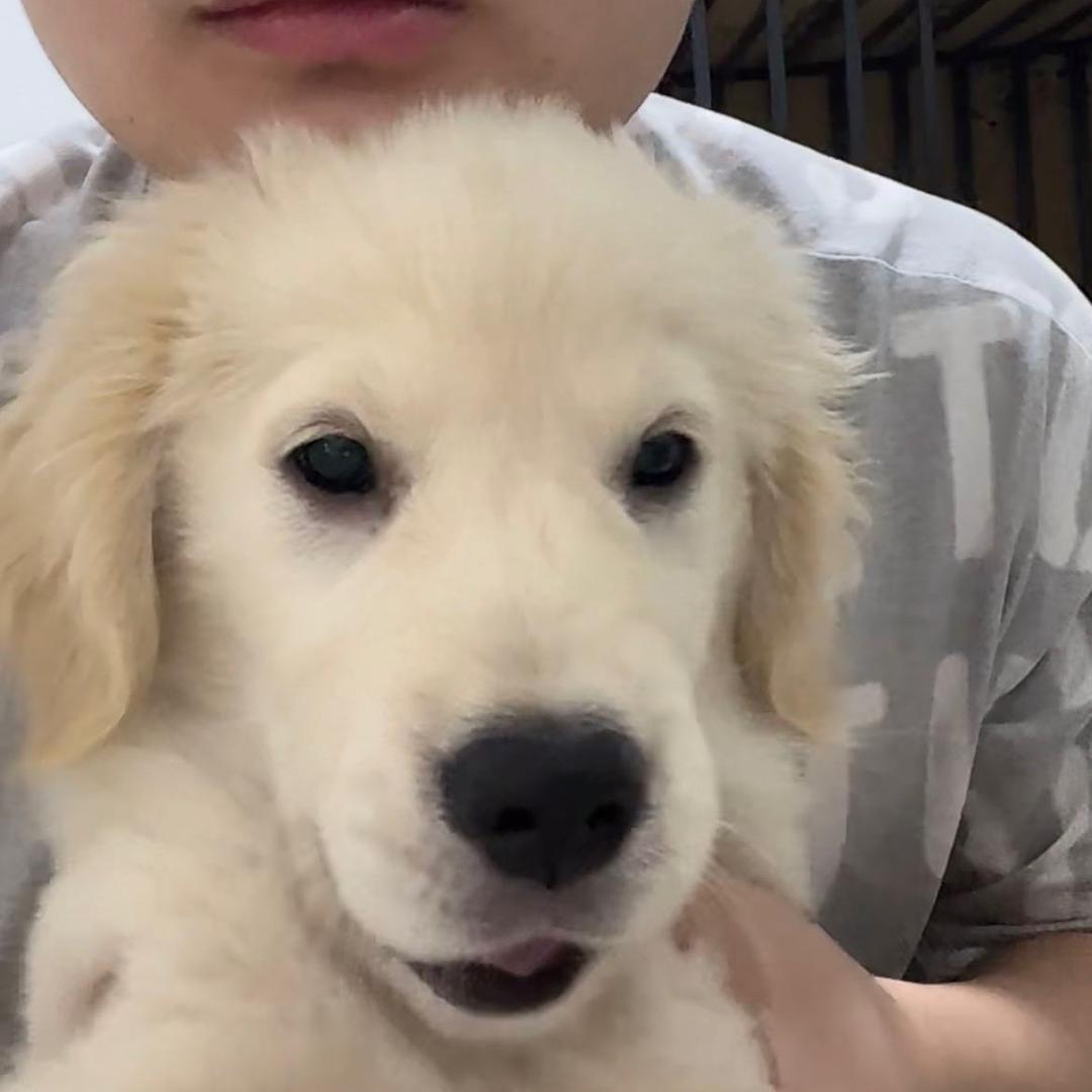 🌈葡萄不吃葡萄🍇